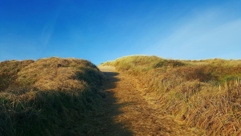 Idyllisch vakantiehuisje in Nederlandse natuur voor vakantie in eigen land met bossen en landelijke omgeving
